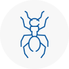 Ant Removals In Aston