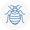 Bed Bug Extermination In Aston