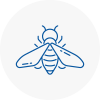 Bee Nest Removal Aston