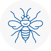 Aston Hornet Nest Removals