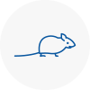 Mice Exterminators In Aston