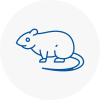 Rat Control Aston