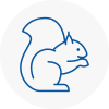 Aston Rodent Removals