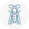Aston Wasp Nest Removal
